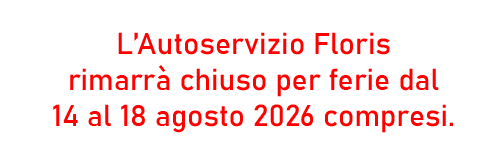 ferie-estive
